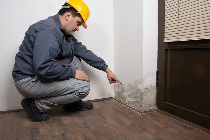 Technician pointing to water damage.