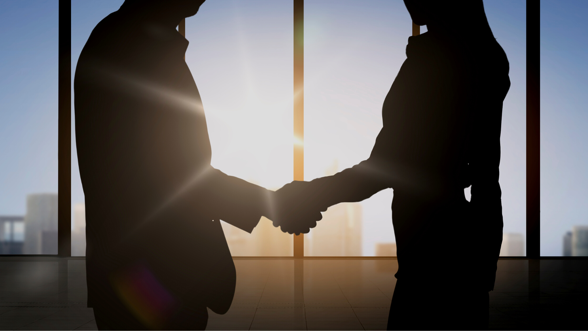 Partner Image